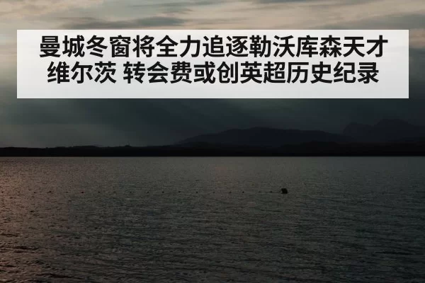 曼城冬窗将全力追逐勒沃库森天才维尔茨 转会费或创英超历史纪录